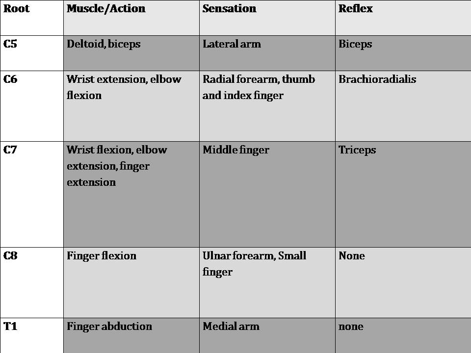 Wheeless' Textbook of Orthopaedics